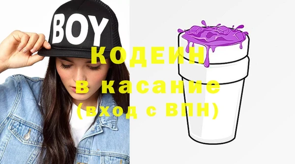 МДПВ Вяземский