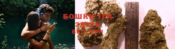 МДПВ Вяземский