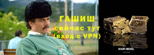 МДПВ Вяземский