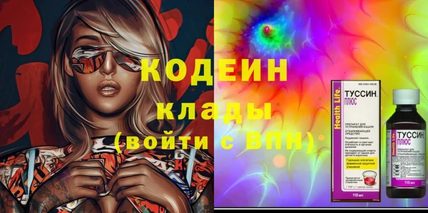 МДПВ Вяземский